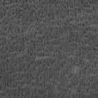 Modern Curved Sectional Sofa with High-Quality Upholstery and Spacious Seating