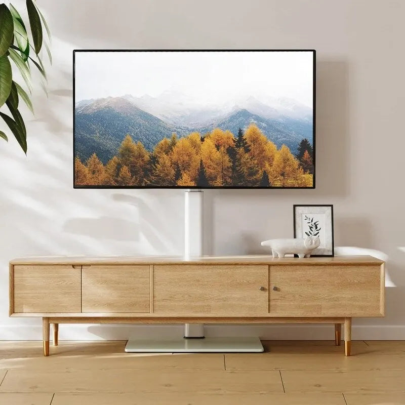 Floor TV Stand