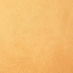 Belgique Velvety Indoor Pouf by Gouchee Home