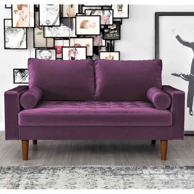 Luis Mid-century Modern Tufted Velvet Loveseat - N/A