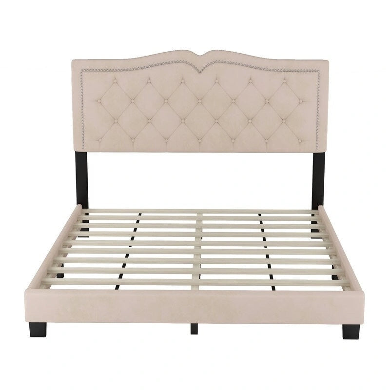 Queen Size Tufted Velvet Upholstered Bed with Rivet Design