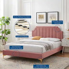 Sienna Performance Velvet Queen Platform Bed